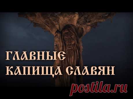 РАСА