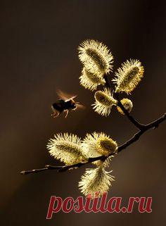 ~ MON PLAISIR ~ Things for the soul. Vintage, Provence. | VK