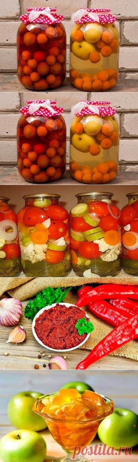 компоты на зиму и не только
