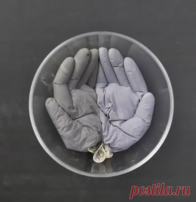 Супер идея из цемента! 👍
СМОТРИ ВИДЕО!