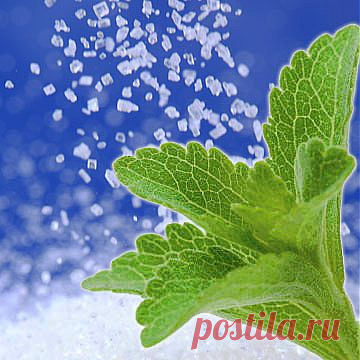 О сладкой жизни: сахар, сахарозаменители, СТЕВИЯ | NSP - Продукты Солнца