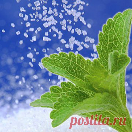 О сладкой жизни: сахар, сахарозаменители, СТЕВИЯ | NSP - Продукты Солнца