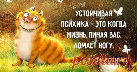 11 веселых открыток, которые помогут тебе не париться по пустякам. Относись к жизни проще!