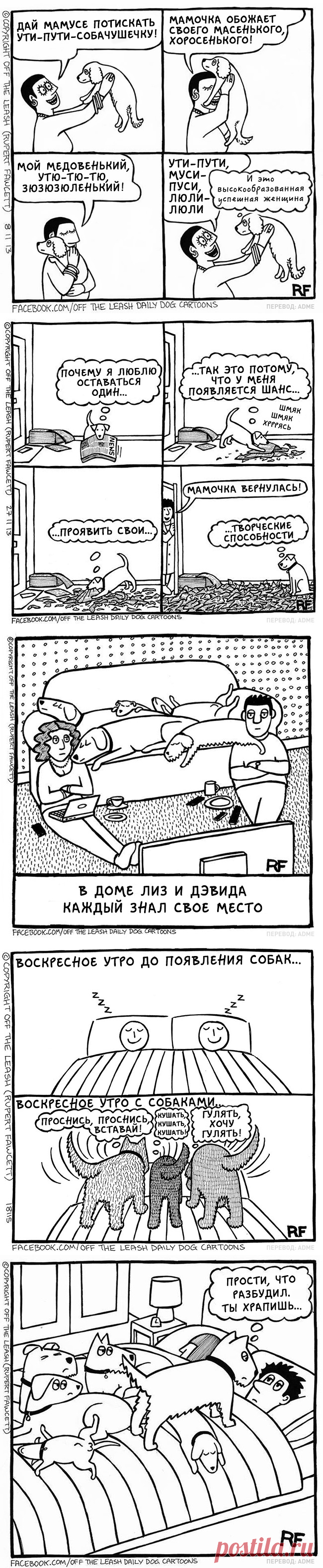 Вся правда о жизни с собакой