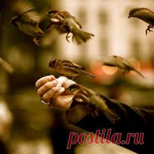 Новости - МирТесен