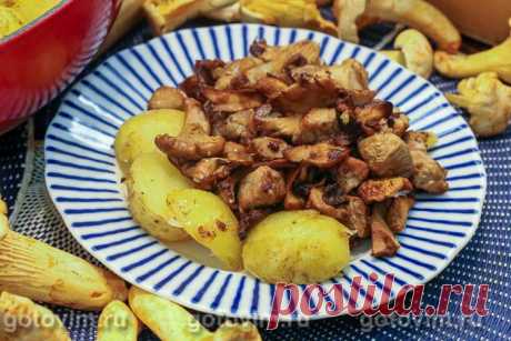 Свинина с лисичками и картофелем по-деревенски. Рецепт с фото Мясную поджарку можно приготовить вместе с грибами и молодым картофелем. У меня были свежие лисички, но подойдут любые лесные грибы. Вешенки и шампиньоны тоже сгодятся, но с лесными все-таки вкуснее. Молодой картофель можно не чистить, достаточно хорошо промыть и потереть щеточкой или посудной губкой. Вместо розмарина можно добавить любые другие пряные травы или их смесь на ваш вкус.