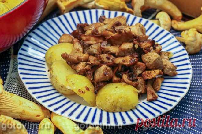 Свинина с лисичками и картофелем по-деревенски. Рецепт с фото Мясную поджарку можно приготовить вместе с грибами и молодым картофелем. У меня были свежие лисички, но подойдут любые лесные грибы. Вешенки и шампиньоны тоже сгодятся, но с лесными все-таки вкуснее. Молодой картофель можно не чистить, достаточно хорошо промыть и потереть щеточкой или посудной губкой. Вместо розмарина можно добавить любые другие пряные травы или их смесь на ваш вкус.