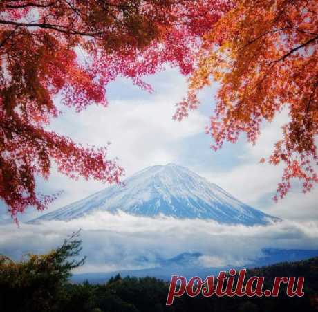 #Япония@discoverygroup
