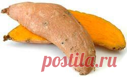 Батат (сладкий картофель)