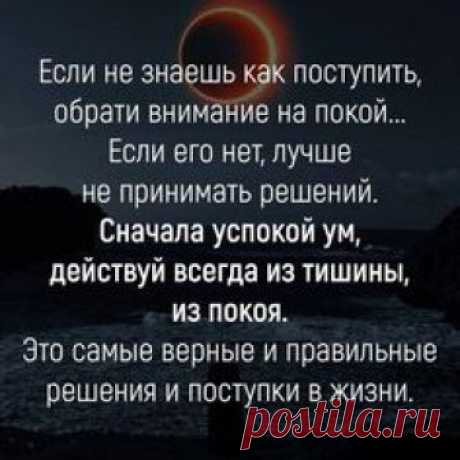 Новости