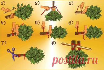 Как правильно заготовить веники для бани 

Начнем разговор с рассказа о местах, которые лучше всего подходят для сбора сырья на веники : это лесные опушки, насаженные искусственно леса или иные природные зоны, но только не места вдоль дорог! Деревья впитывают тяжелые металлы из автомобильных выхлопных газов, что делает их ветки совершенно непригодными для веников . 

Май, с середины до конца месяца, когда дерево набирает силу и содержит наибольшее количество полезных вещес...