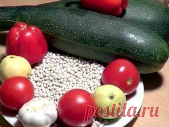 Кабачки с фасолью. Рецепты на зиму