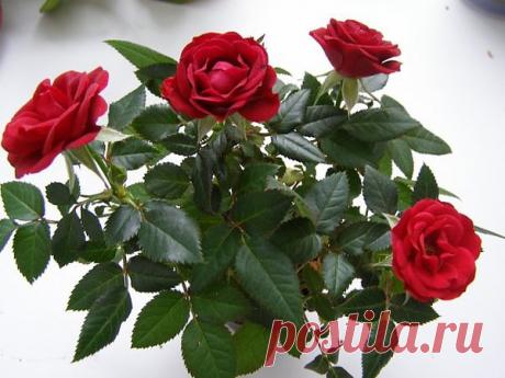 Интересные новости