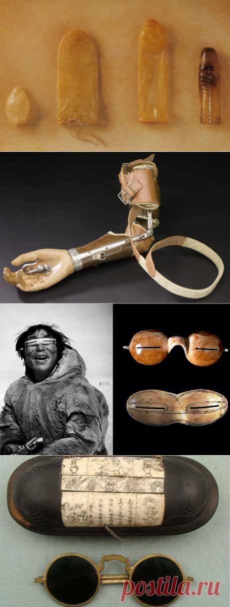 Гости из прошлого / Моя Планета