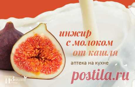Инжир с молоком от кашля детям и взрослым.