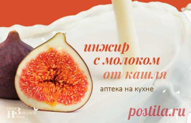 Инжир с молоком от кашля детям и взрослым.