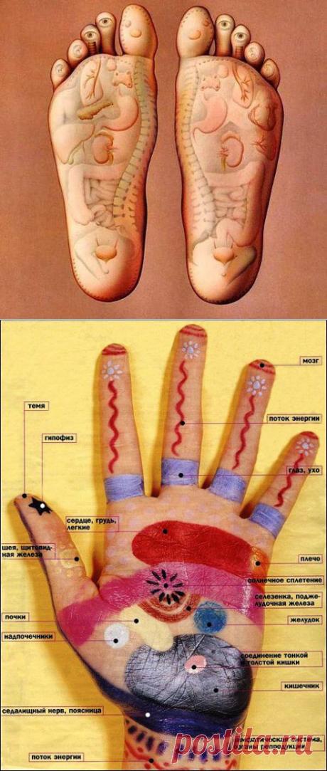 Одноклассники