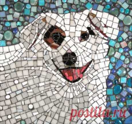 Pets | Stevo Mosaics