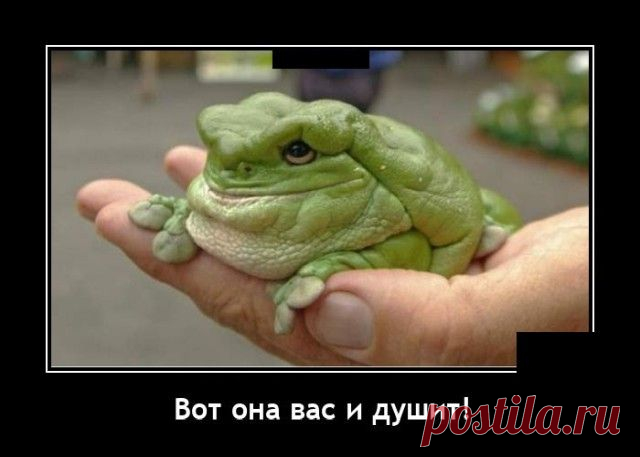Демотиваторы - 15 картинок - Нет скуки.ру - Источник позитивного настроения.