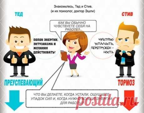 Как уровень энергии влияет на нашу трудоспособность / Восприятие бизнеса