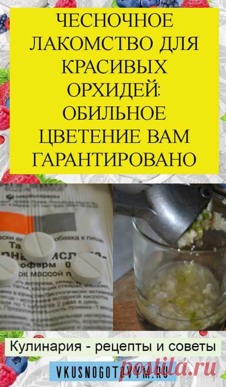 ЧЕСНОЧНОЕ ЛАКОМСТВО ДЛЯ КРАСИВЫХ ОРХИДЕЙ: ОБИЛЬНОЕ ЦВЕТЕНИЕ ВАМ ГАРАНТИРОВАНО