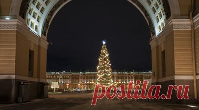 Главную ёлку Петербурга установили на Дворцовой площади. На Дворцовой площади Санкт-Петербурга установили главную городскую ёлку, передаёт «Петербургский дневник». Читать далее