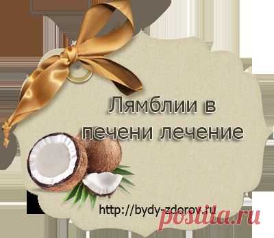 Лямблии в печени лечение |