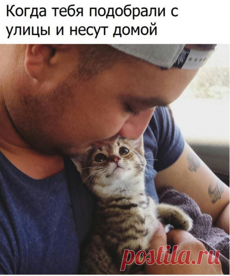 ИДЕИ для творчества
