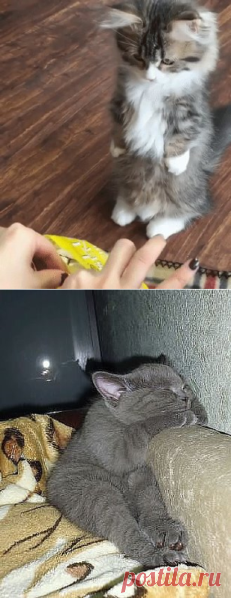 * * * * * * * * * * * *