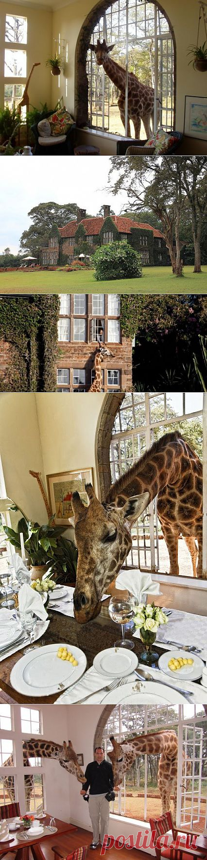 (+1) - Удивительный отель , такое не встретите нигде!!!! | Непутевые заметки