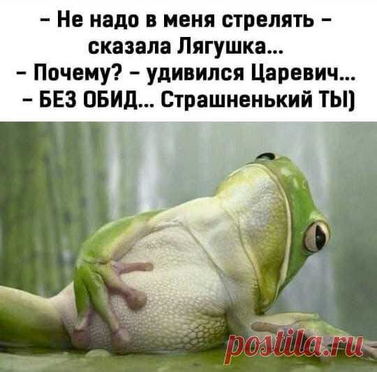 Выпуск №6514 - выпуск анекдотов сайта вокруг смеха