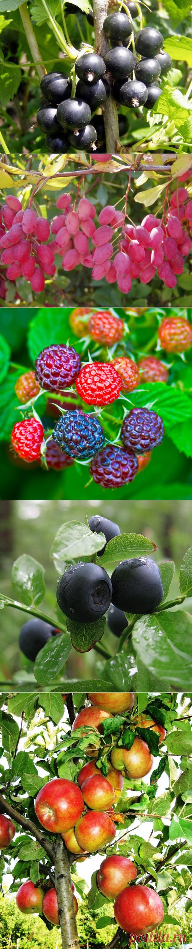 Напоминание об уходящем лете...