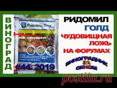 🍇 Ридомил Голд. ЧУДОВИЩНАЯ ЛОЖЬ. Какой срок ожидания препарата.