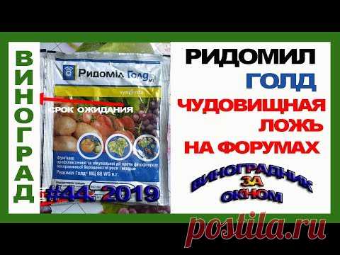 🍇 Ридомил Голд. ЧУДОВИЩНАЯ ЛОЖЬ. Какой срок ожидания препарата.