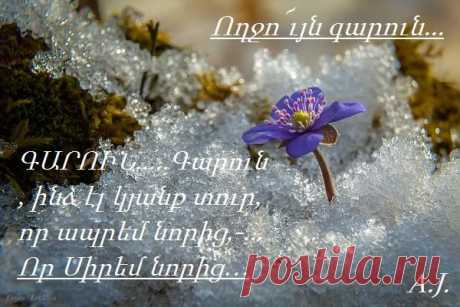 -Բարև,Գարու՜ն:
Դու այս ցուրտ աշխարհի տաք ու փափուկ շունչն ես,գարուն:Դու ներխուժիր ձմռան ցրտից սառած մեր հոգիների դատարկ անկյունները... լցրու այդ դատարկությունը քո ջերմությամբ:
ԳԱՐՈՒՆ՝սիրով լեցուն Կյանքի աղբյուր... ուզածս գարնան հանդեպ սերս պատմելը չէ,այլ ուզում եմ ասե՛լ....
Գարուն, ինձ էլ կյանք տուր,
Որ ապրեմ նորից,
Որ սիրեմ նորից…..՚՚՚Ողջո՜ւյն գարուն...՚՚՚