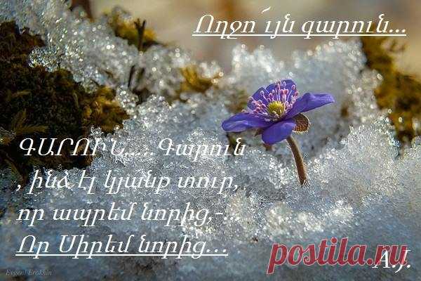 -Բարև,Գարու՜ն:
Դու այս ցուրտ աշխարհի տաք ու փափուկ շունչն ես,գարուն:Դու ներխուժիր ձմռան ցրտից սառած մեր հոգիների դատարկ անկյունները... լցրու այդ դատարկությունը քո ջերմությամբ:
ԳԱՐՈՒՆ՝սիրով լեցուն Կյանքի աղբյուր... ուզածս գարնան հանդեպ սերս պատմելը չէ,այլ ուզում եմ ասե՛լ....
Գարուն, ինձ էլ կյանք տուր,
Որ ապրեմ նորից,
Որ սիրեմ նորից…..՚՚՚Ողջո՜ւյն գարուն...՚՚՚
