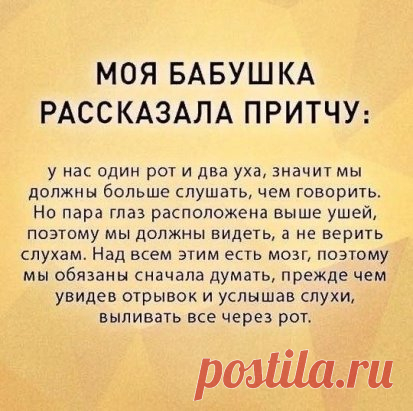 Она права
