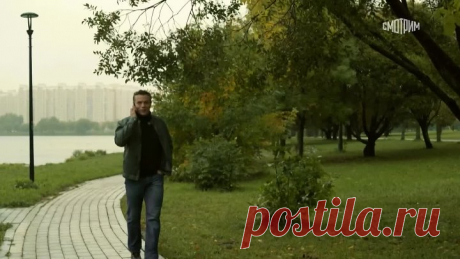 +Профессионал - 1