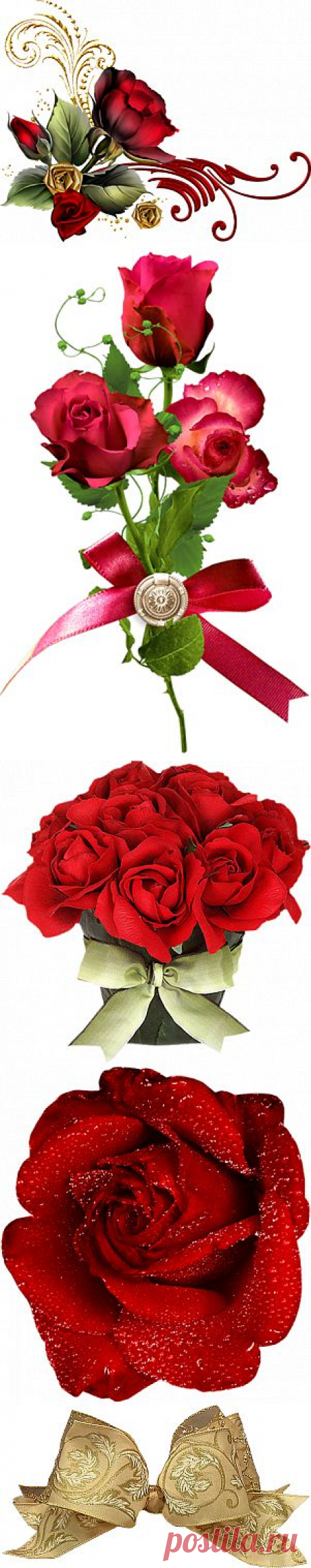 Цветочные композиции декор PNG .