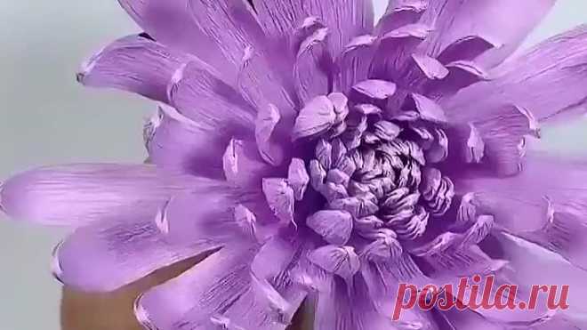 10000000_339697663731924_6252344343924968489_n