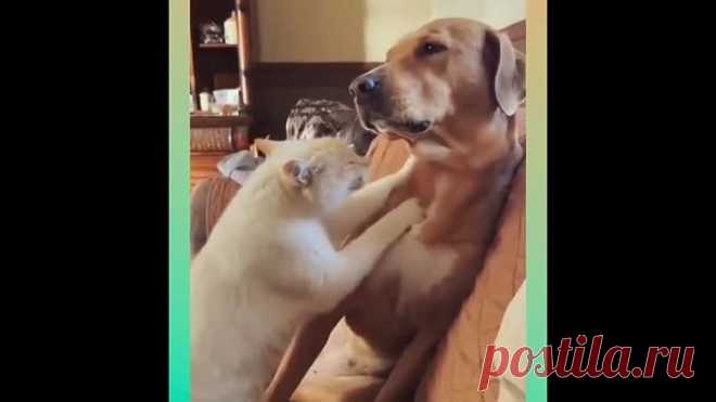 Взаимовыручка !🤣🤣🤣👍👍👍😍😍😍❤❤❤
