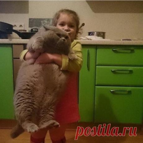 - Познакомьтесь! Это мой Пушок, он ест кашу за меня по утрам