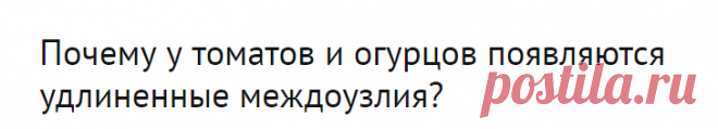 Почему у томатов и огурцов появляются удлиненные междоузлия? - ответы экспертов 7dach.ru