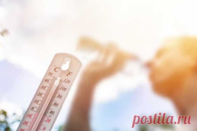 Как пережить жару в городской квартире без кондиционера - 7Дней.ру