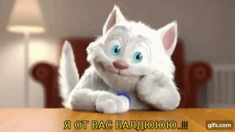 Вот такой