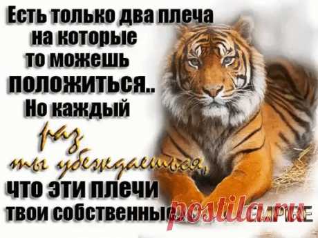 (99) Одноклассники
