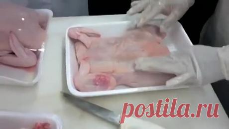 Хозяюшкам на вооружение куриное филе благодарности не надо,учитесь!!!