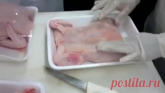 Хозяюшкам на вооружение куриное филе благодарности не надо,учитесь!!!