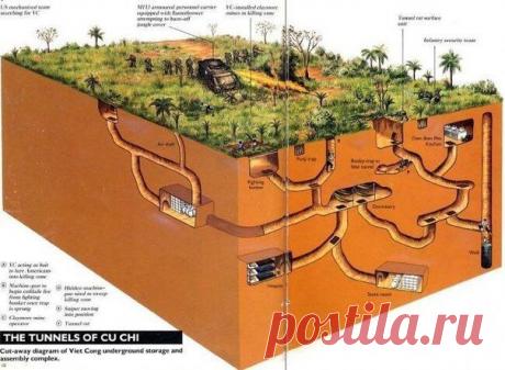 Тоннели и ловушки вьетнамских партизан / История цивилизаций!