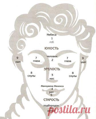 Девять точек богатства на вашем лице  В китайской метафизике для предсказания судьбы человека используют не только гадание по книге перемен, построение карт Ба Цзы, но и физиогномику - технику «чтения по лицу». Вы не можете при встрече с…